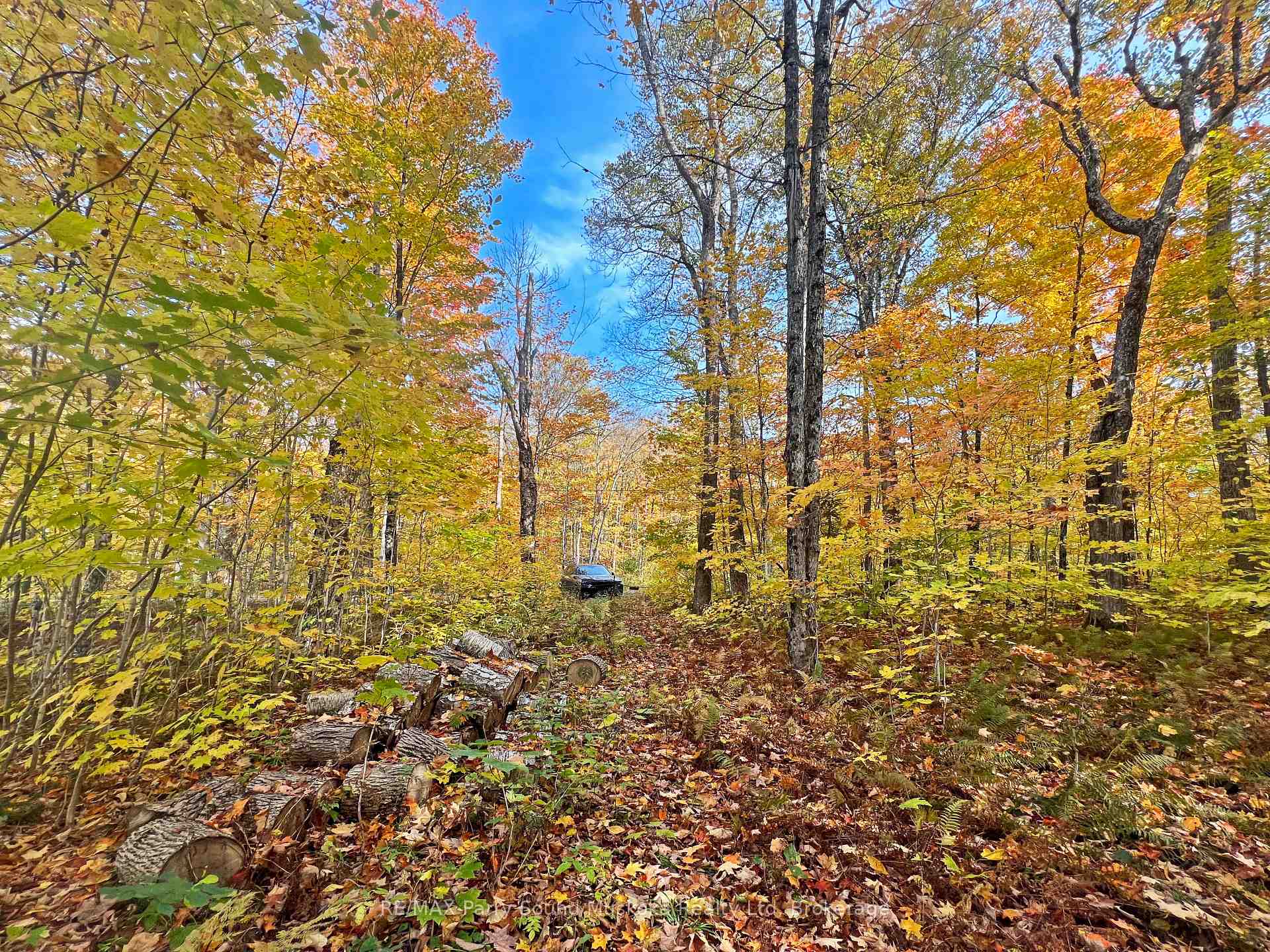 Photo 7 of Chikopi Road, Magnetawan, Ahmic Harbour — HOMEH