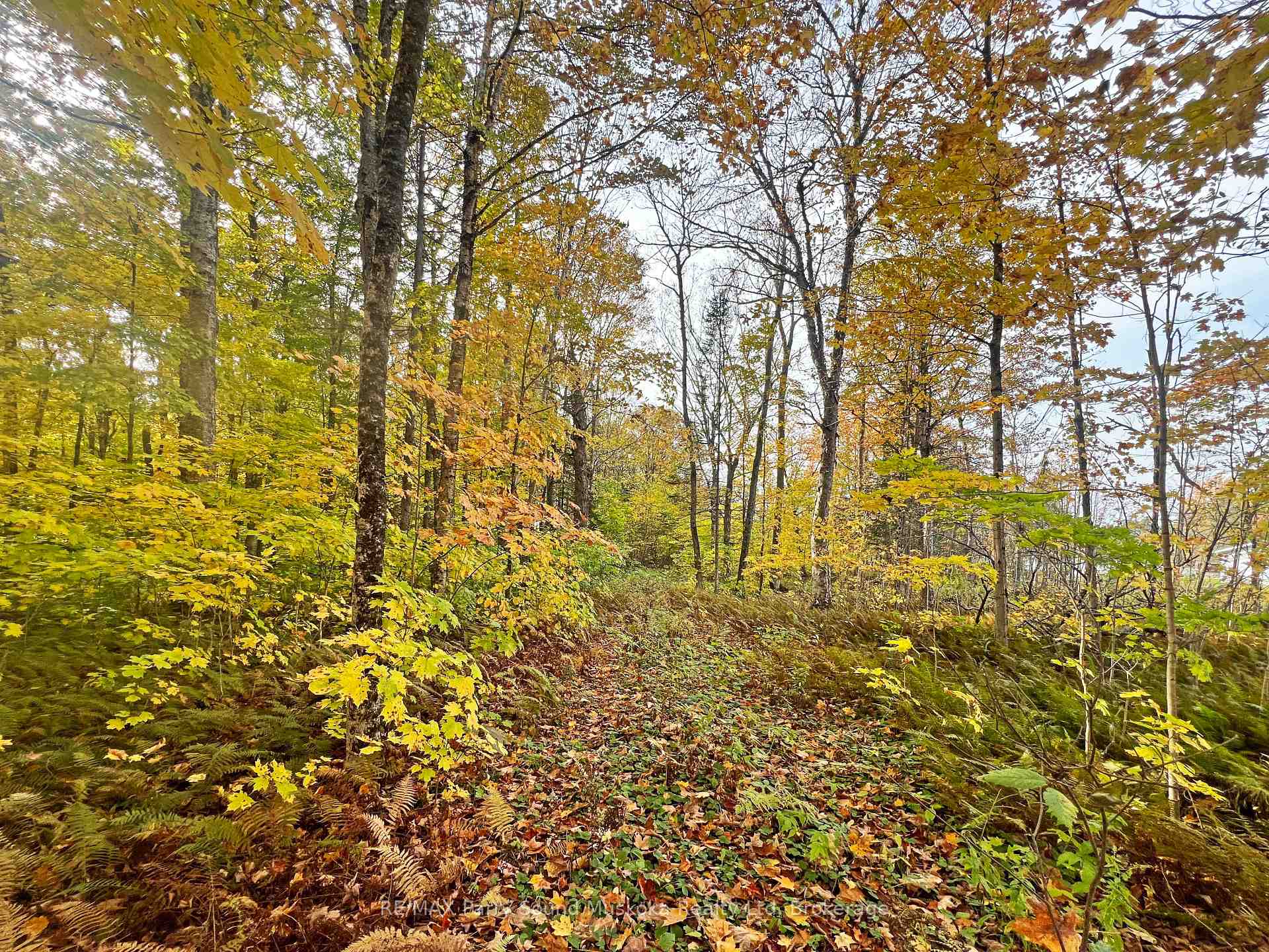 Photo 8 of Chikopi Road, Magnetawan, Ahmic Harbour — HOMEH