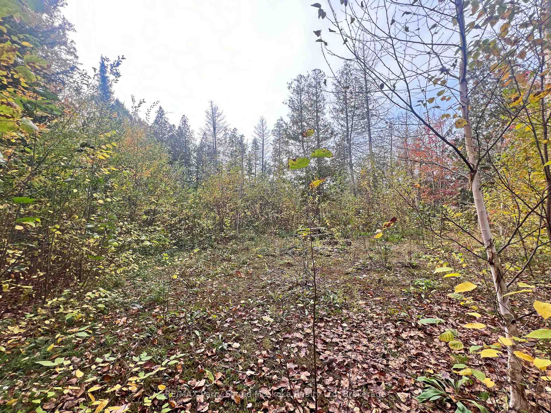 Photo 9 of Chikopi Road, Magnetawan, Ahmic Harbour — HOMEH