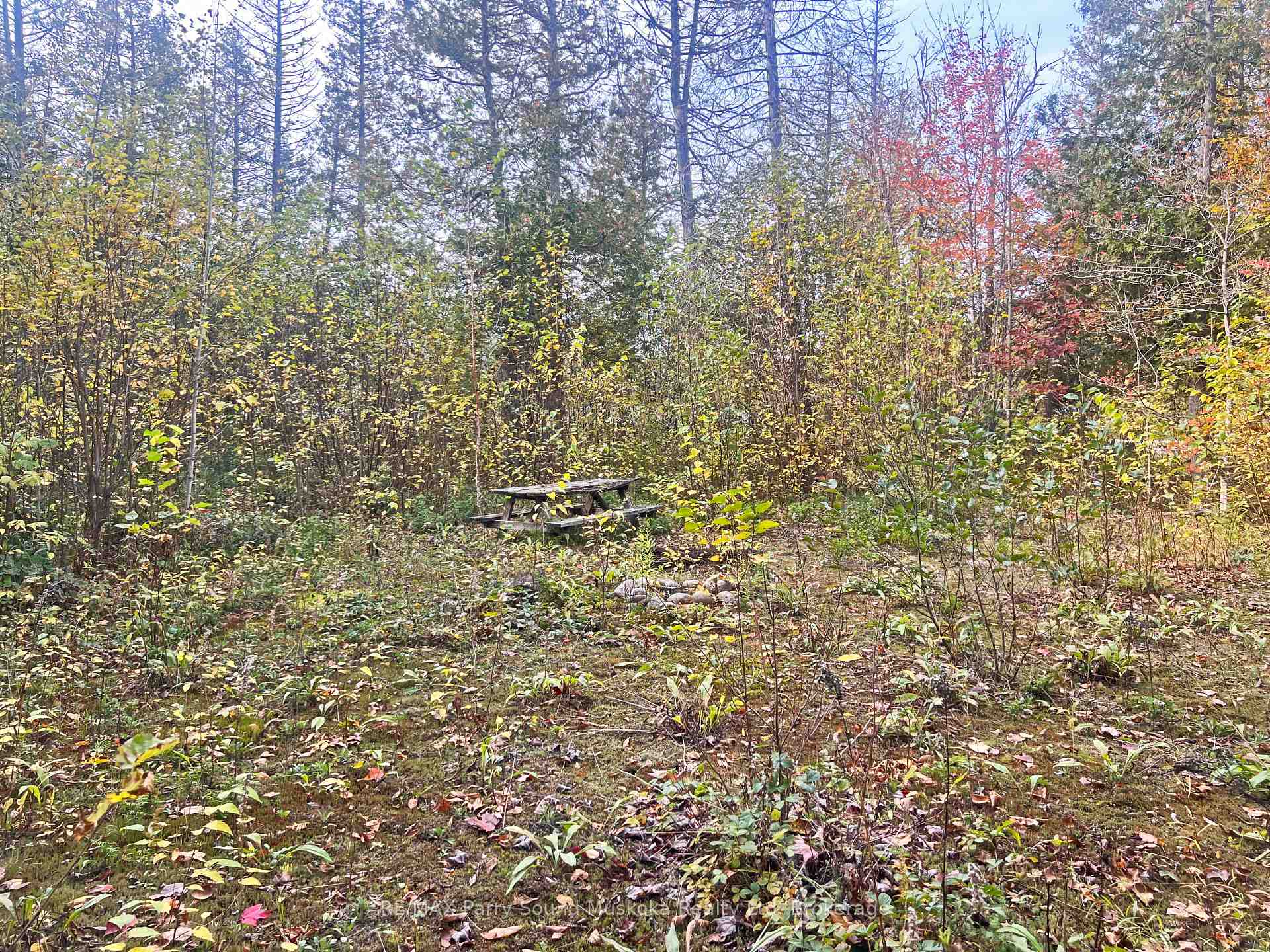 Photo 10 of Chikopi Road, Magnetawan, Ahmic Harbour — HOMEH