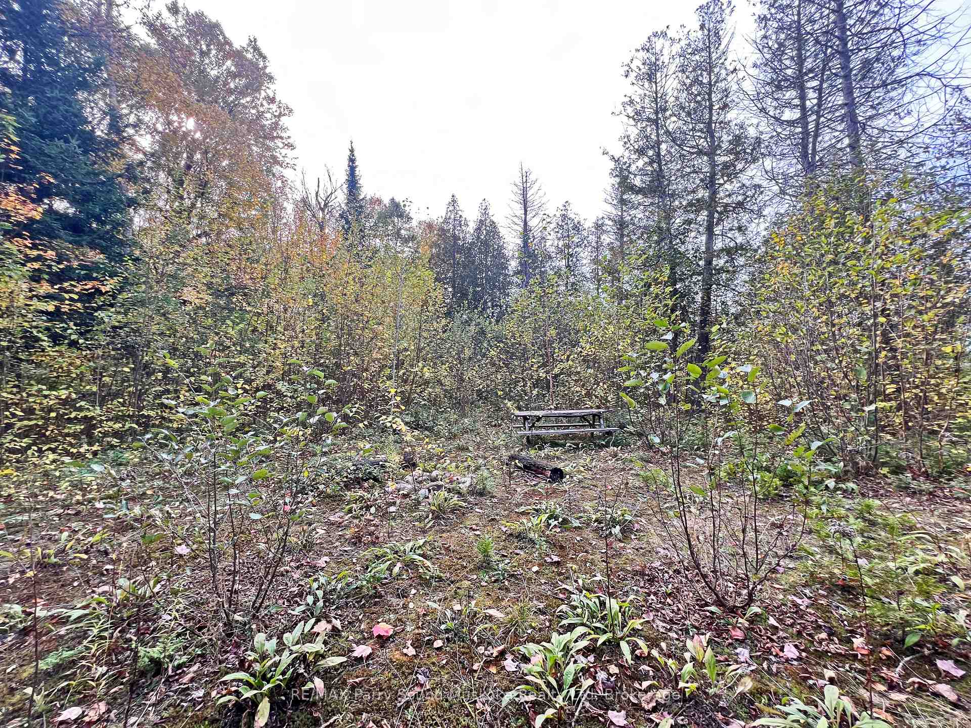 Photo 11 of Chikopi Road, Magnetawan, Ahmic Harbour — HOMEH