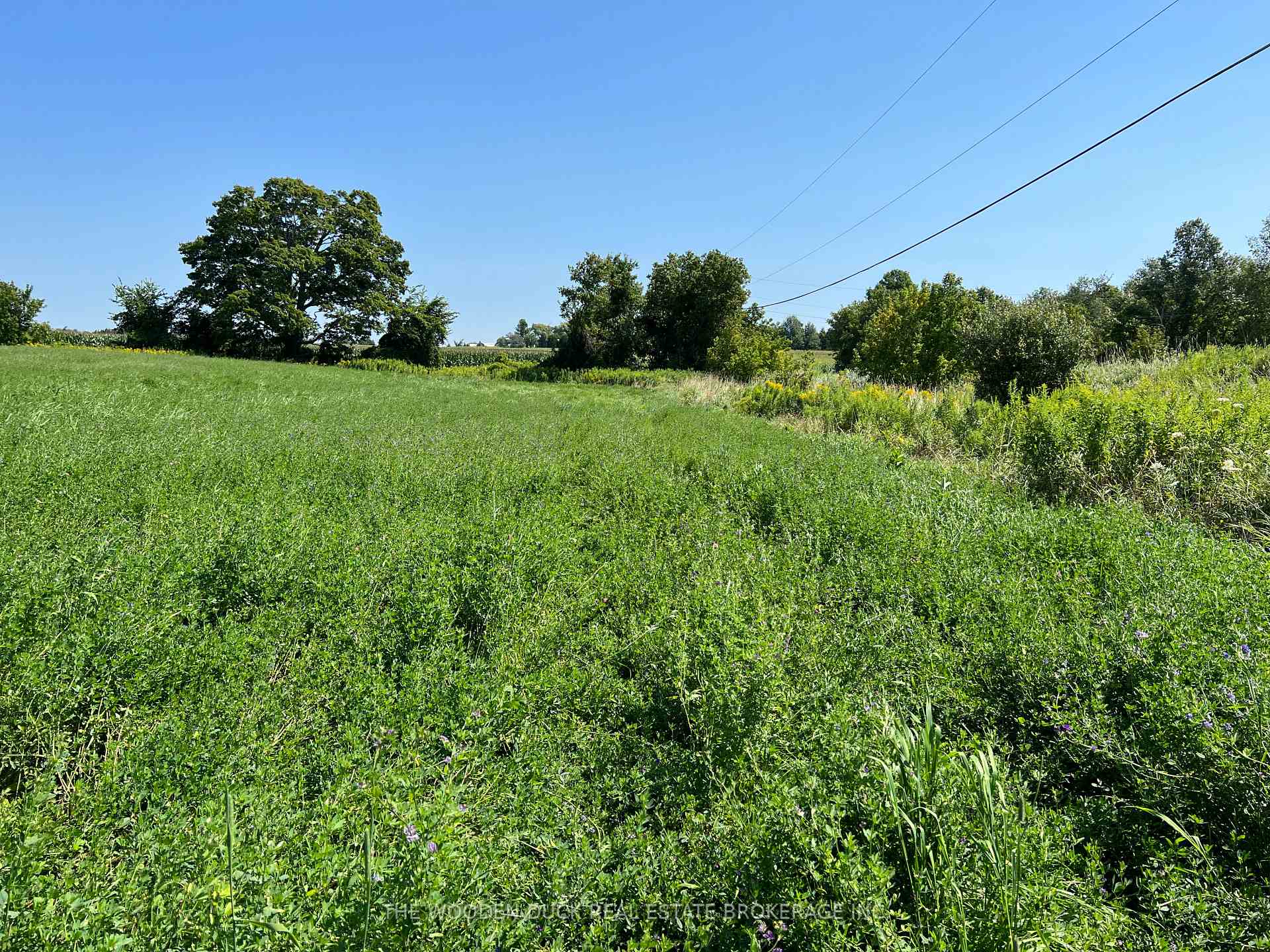 Photo 3 of 00 Webster Road, Douro-Dummer — HOMEH