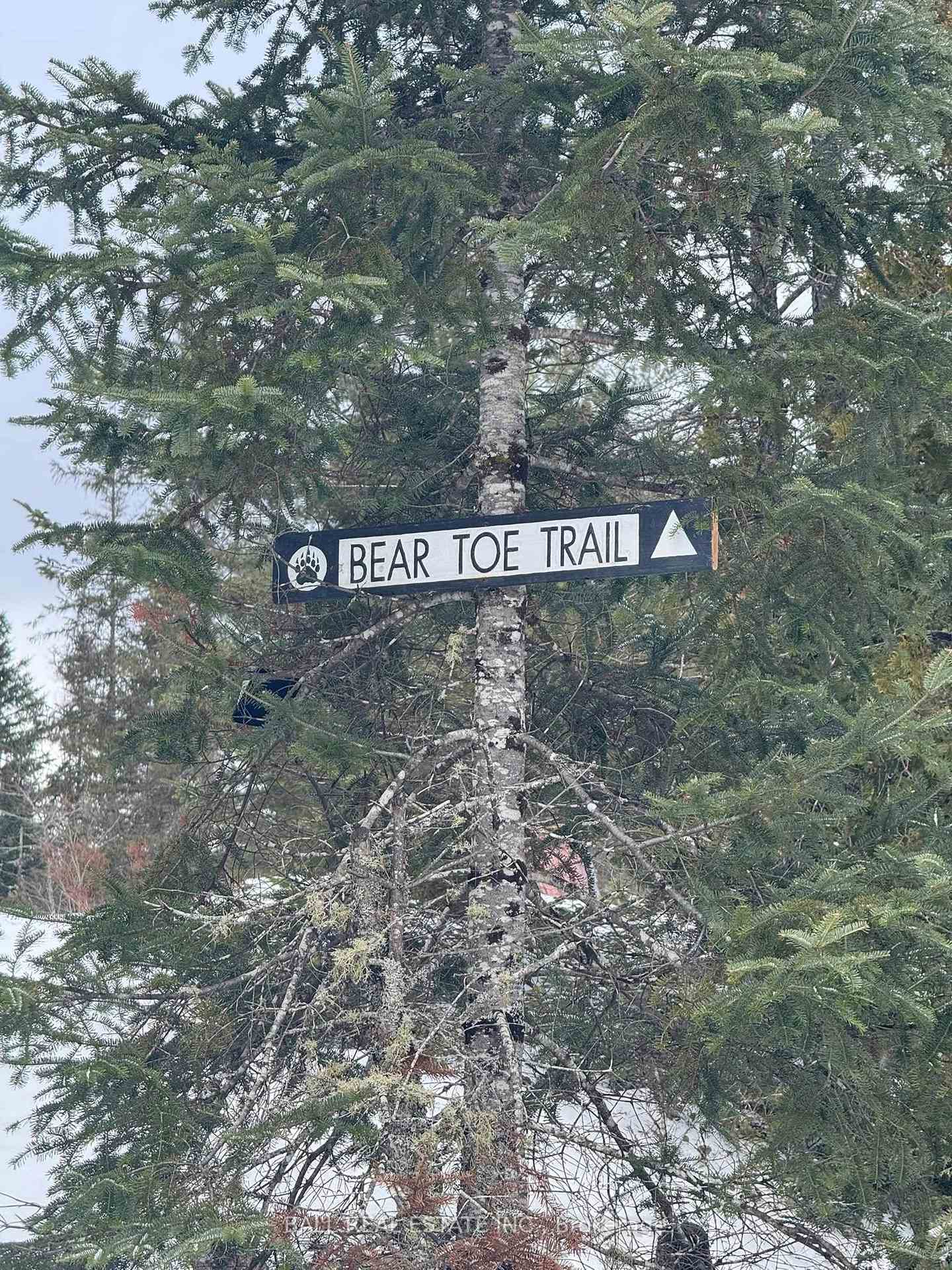 Photo 33 of Cillca Drive, Faraday — HOMEH