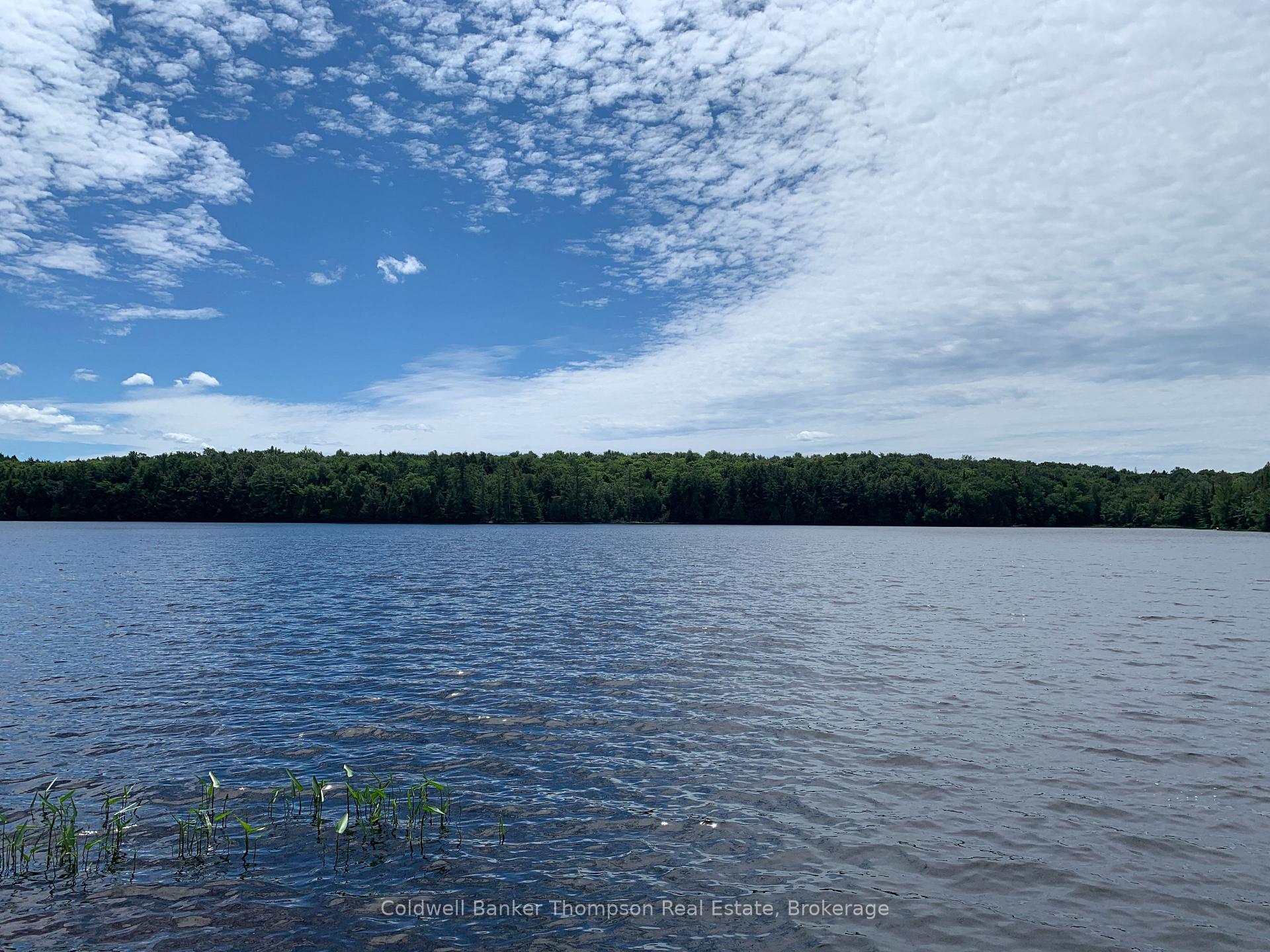Photo 7 of 209 Hemlock Lane, Magnetawan — HOMEH