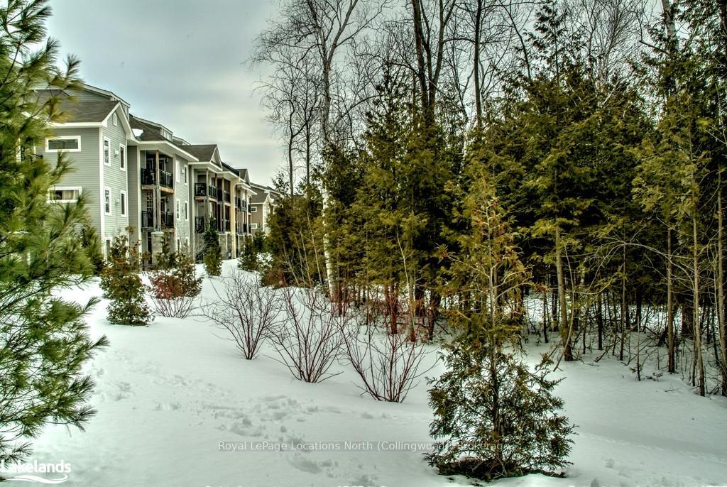 Photo 4 of Unit 106, 6 Brandy Lane Drive, Collingwood — HOMEH