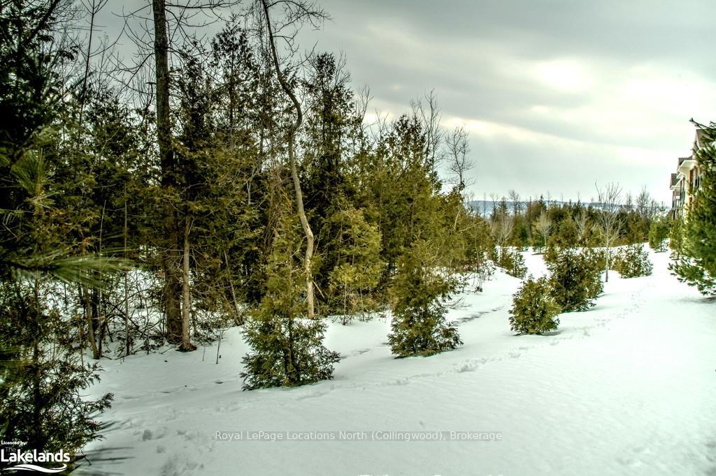Photo 7 of Unit 106, 6 Brandy Lane Drive, Collingwood — HOMEH