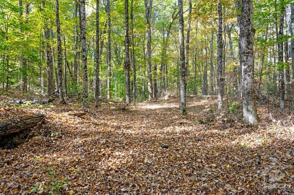Photo 25 of 6637-B 506 Road, Frontenac, Frontenac North — HOMEH