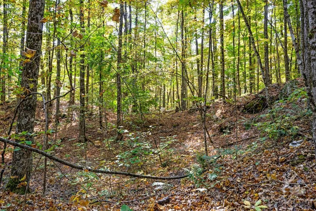 Photo 26 of 6637-B 506 Road, Frontenac, Frontenac North — HOMEH