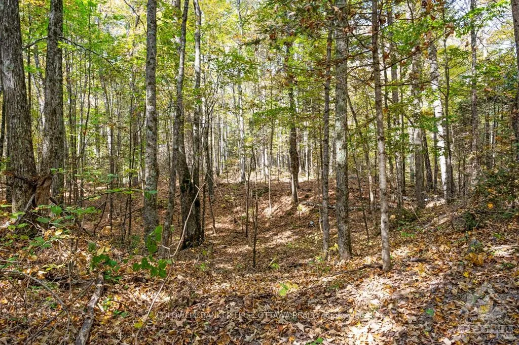 Photo 27 of 6637-B 506 Road, Frontenac, Frontenac North — HOMEH