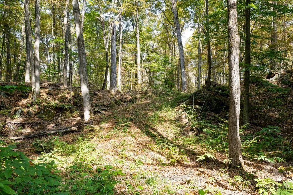 Photo 28 of 6637-B 506 Road, Frontenac, Frontenac North — HOMEH