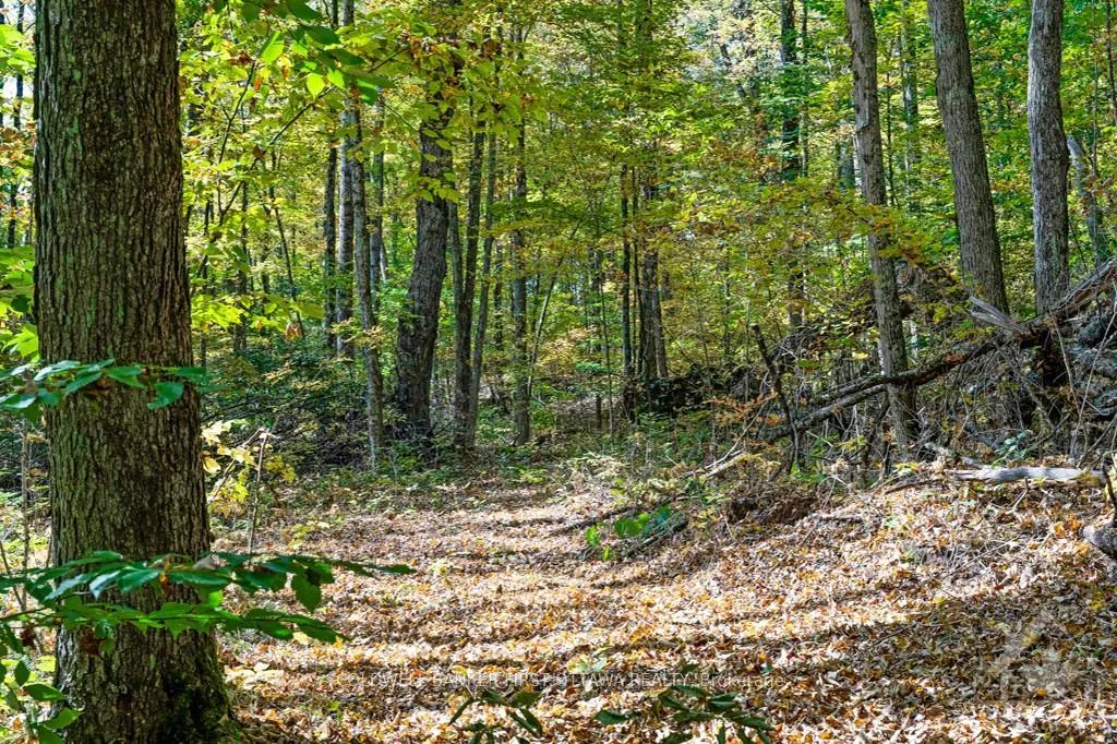 Photo 29 of 6637-B 506 Road, Frontenac, Frontenac North — HOMEH