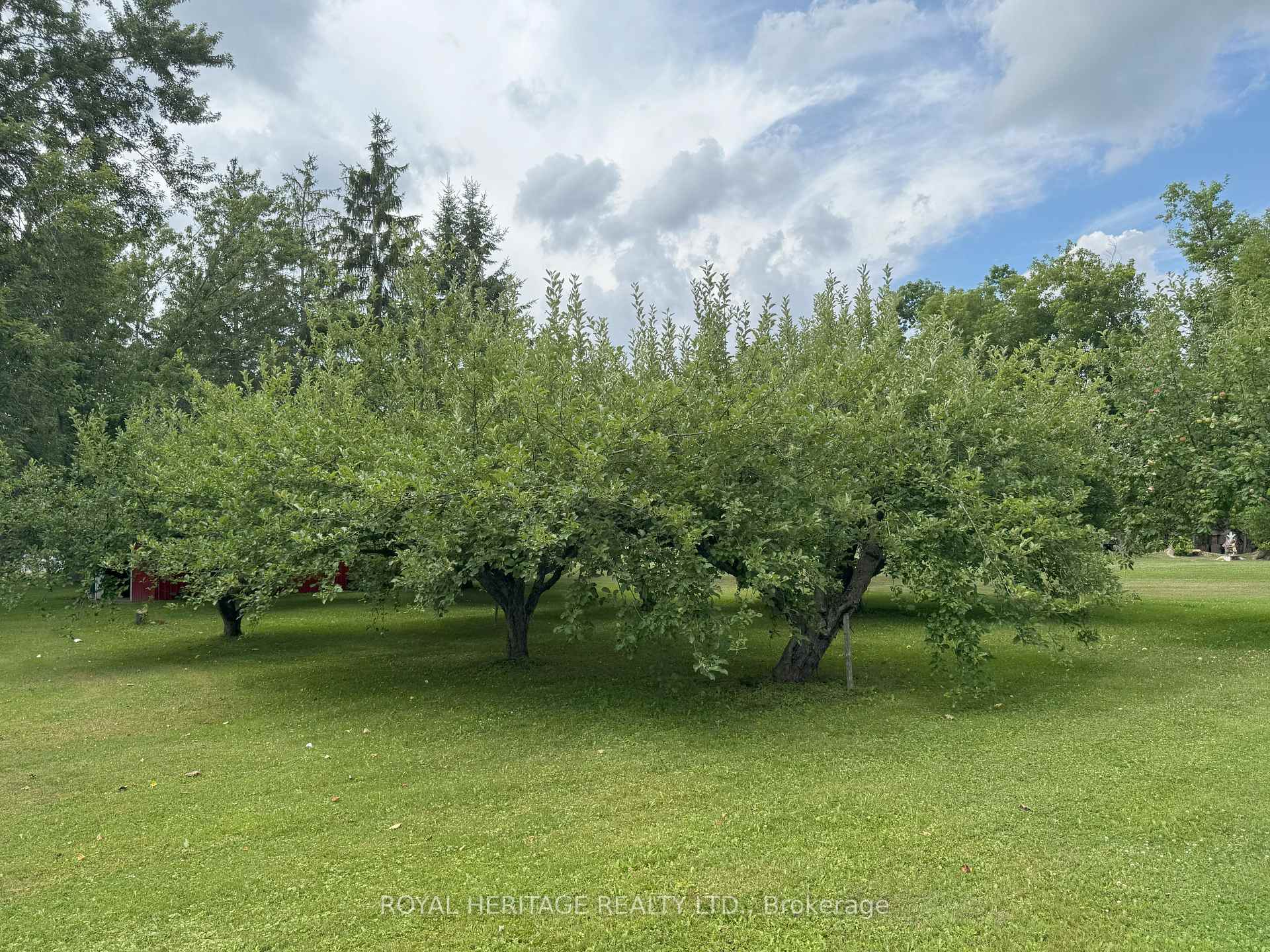 Photo 46 of 1461 County 10 Road, Cavan Monaghan, Cavan Twp — HOMEH