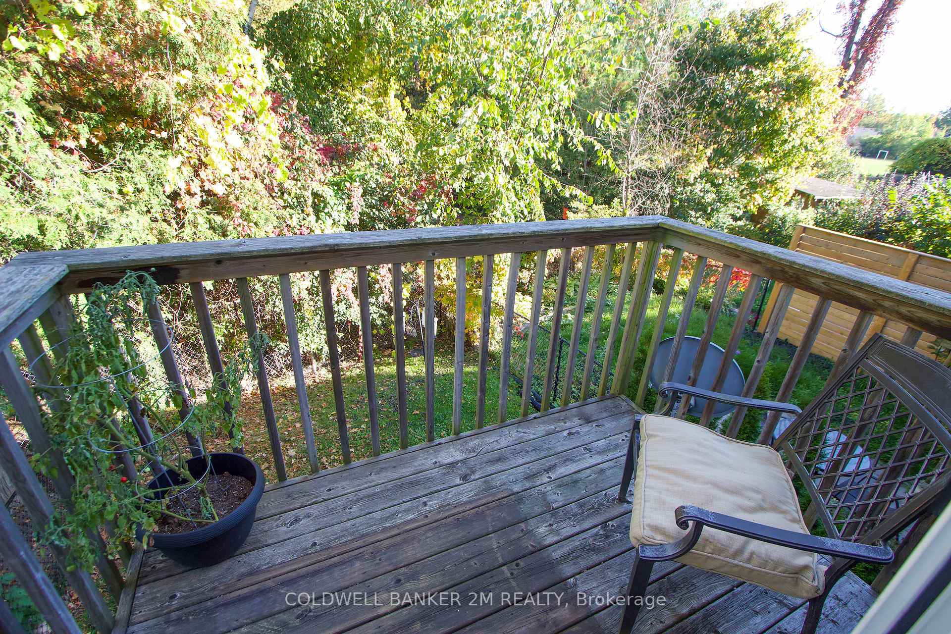 Photo 17 of 88 Brookside Street, Cavan Monaghan, Millbrook Village — HOMEH