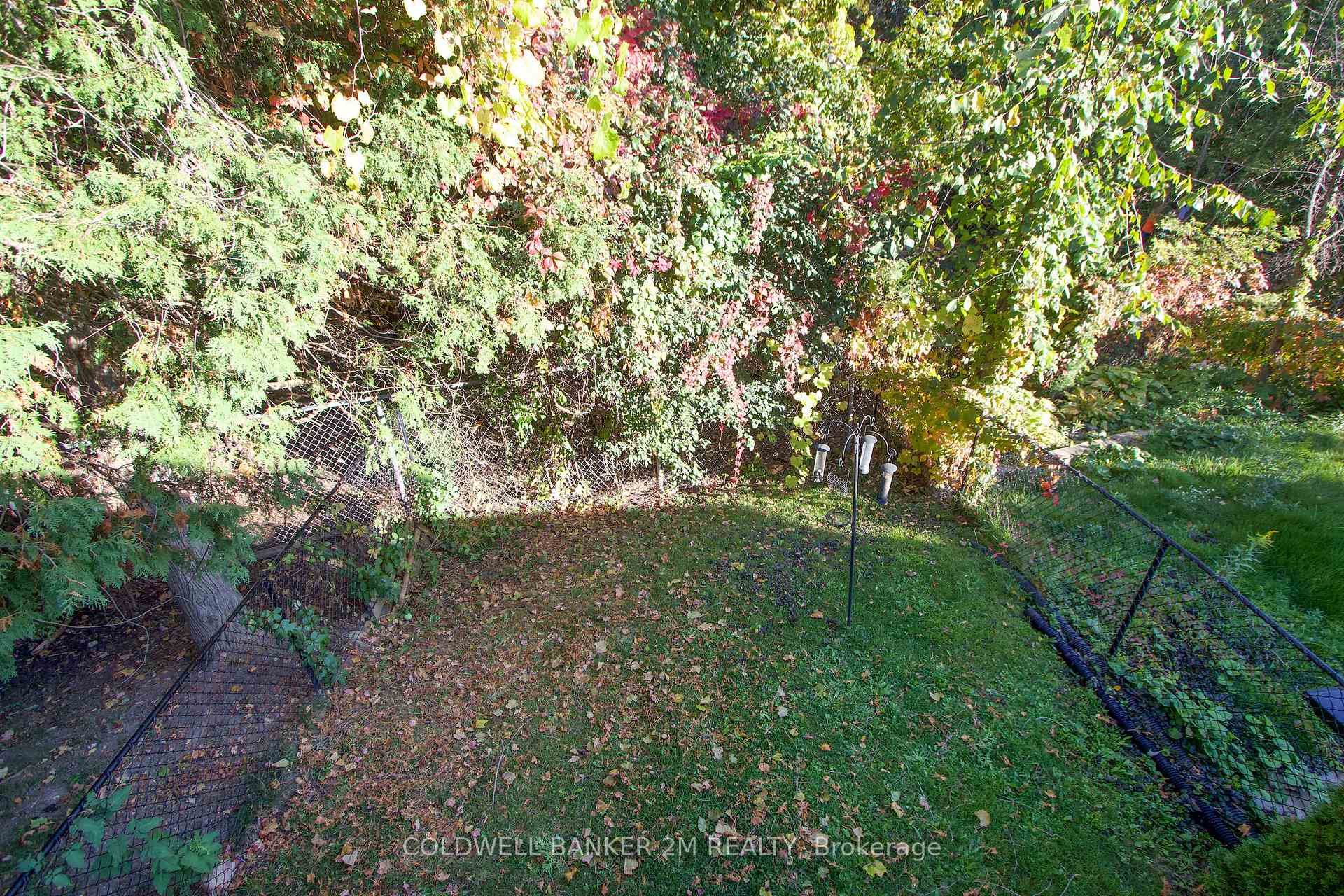 Photo 24 of 88 Brookside Street, Cavan Monaghan, Millbrook Village — HOMEH
