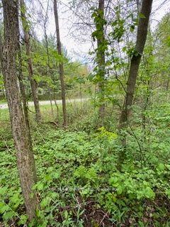 Photo 2 of 00 Rooney Road, Edwardsburgh/Cardinal, Edwardsburgh/Cardinal Twp — HOMEH