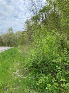 Photo 3 of 00 Rooney Road, Edwardsburgh/Cardinal, Edwardsburgh/Cardinal Twp — HOMEH