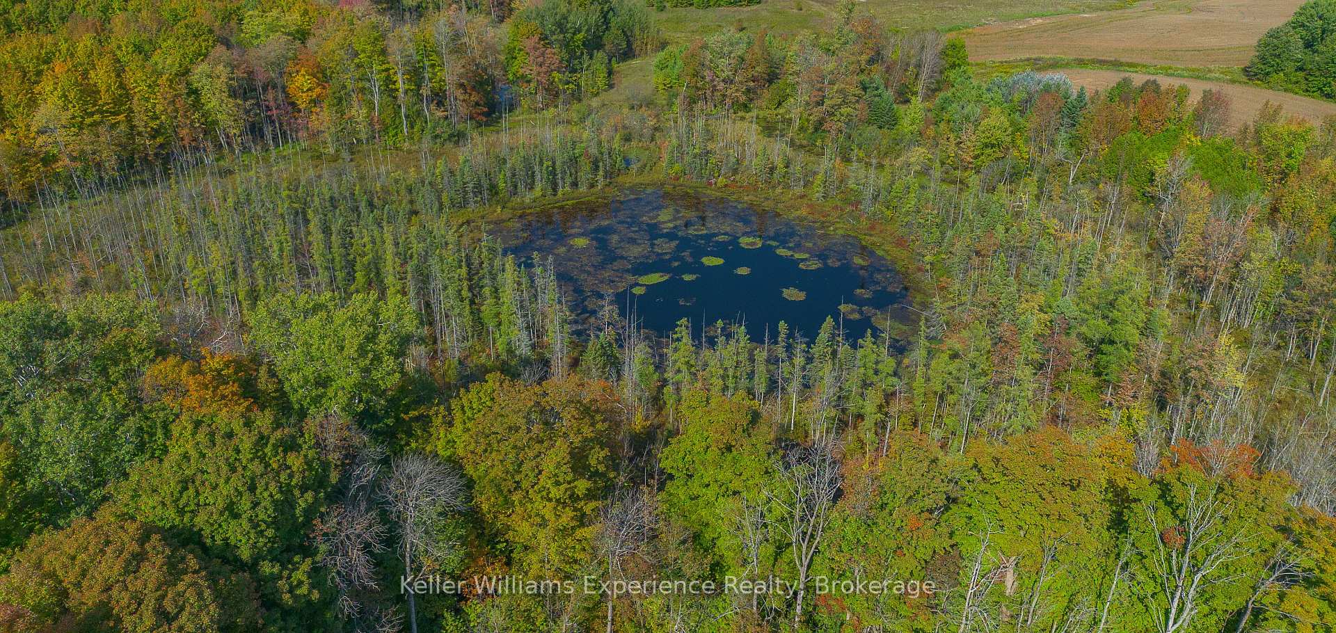 Photo 42 of 702473 Sideroad 5, Chatsworth — HOMEH