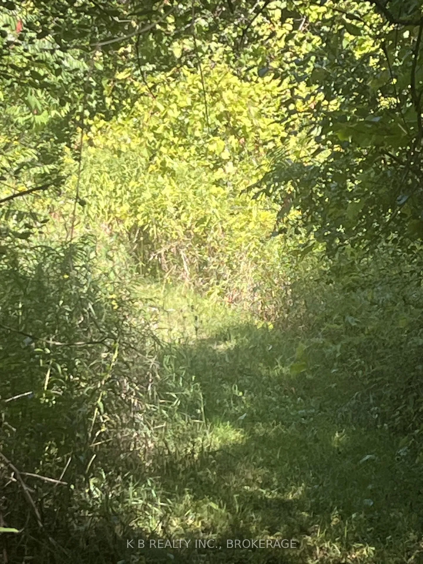 Photo 17 of 15598 County Road 2, Brighton, Rural Brighton — HOMEH