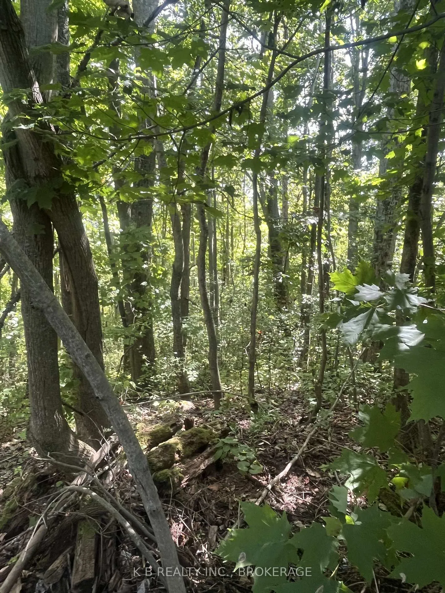 Photo 18 of 15598 County Road 2, Brighton, Rural Brighton — HOMEH