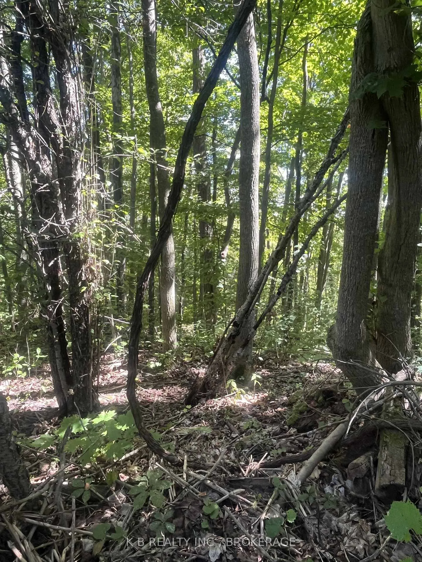 Photo 19 of 15598 County Road 2, Brighton, Rural Brighton — HOMEH