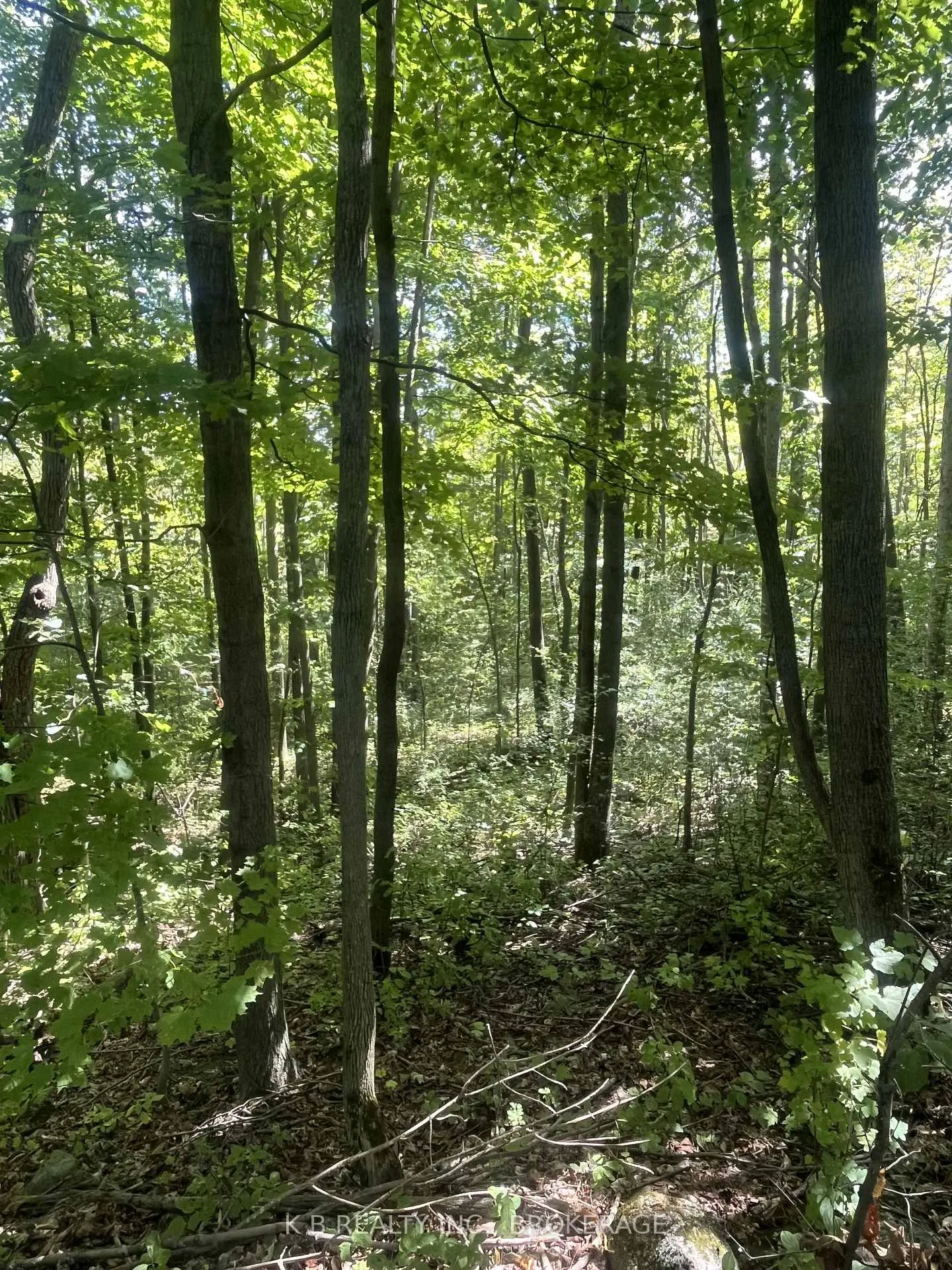 Photo 20 of 15598 County Road 2, Brighton, Rural Brighton — HOMEH