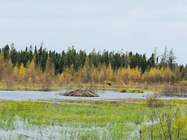 Photo 2 of LOT 2 Con 7 Concession, Cochrane, Cochrane Unorganized — HOMEH
