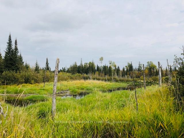 Photo 4 of LOT 2 Con 7 Concession, Cochrane, Cochrane Unorganized — HOMEH