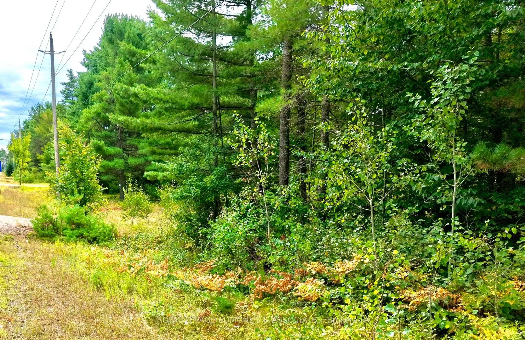 Photo 4 of 00 Highway 17, Deep River — HOMEH