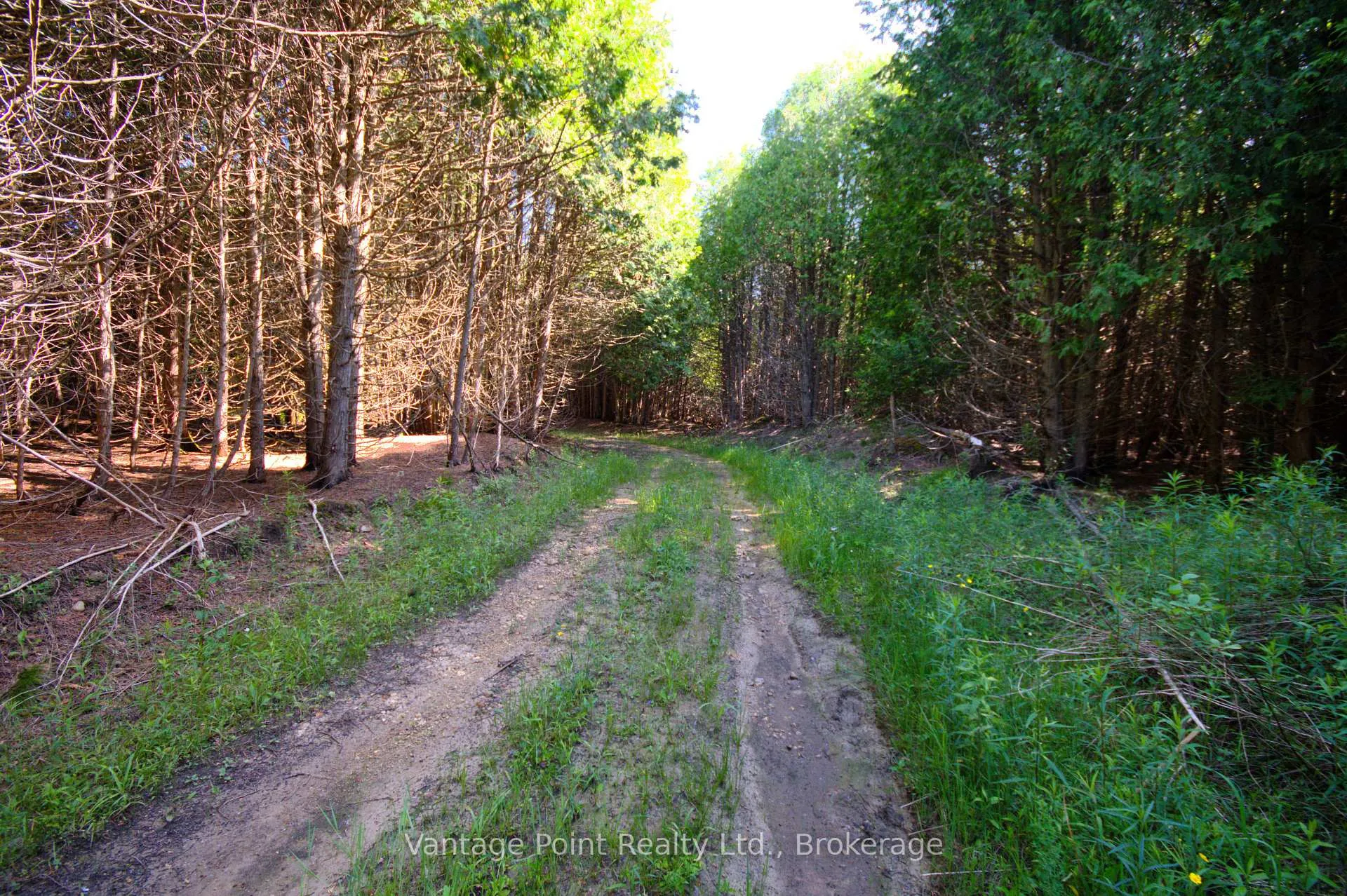 Photo 19 of 775381 10 Highway N, Chatsworth — HOMEH