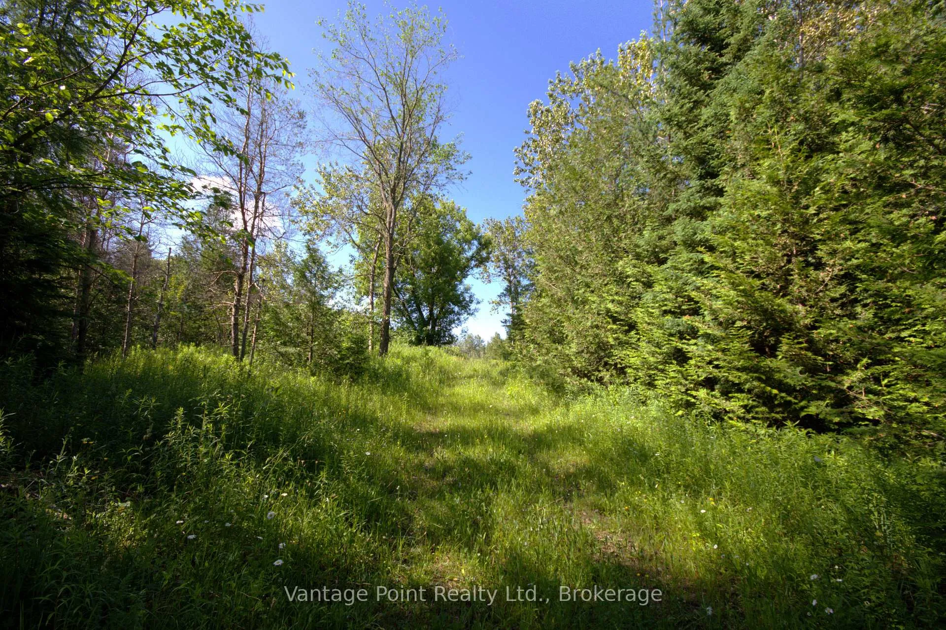 Photo 23 of 775381 10 Highway N, Chatsworth — HOMEH