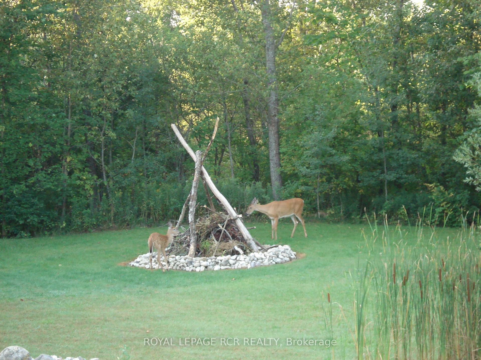 Photo 50 of 5823 Eighth Line, Erin, Rural Erin — HOMEH