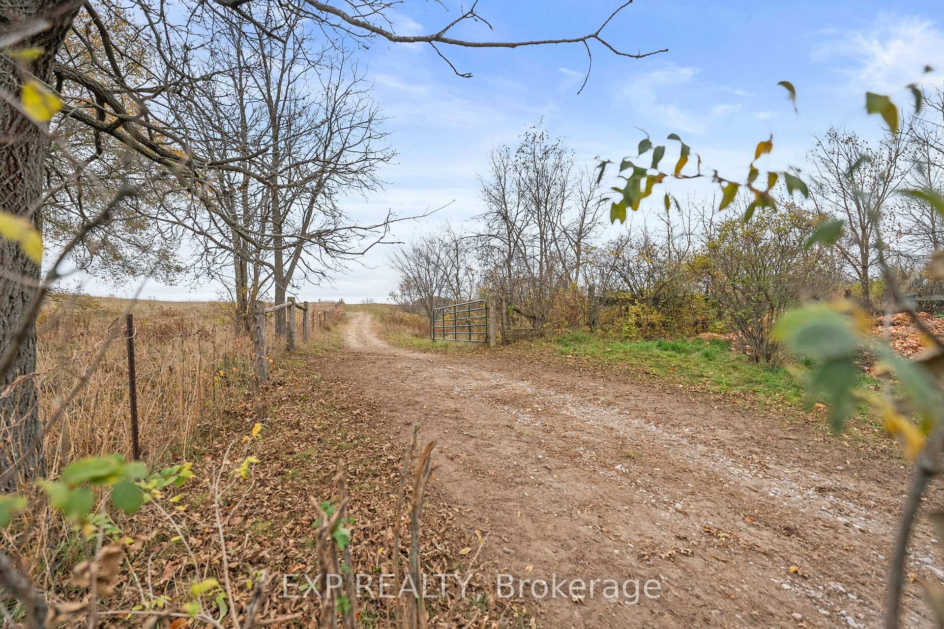 Photo 44 of 1742 Cameron Street W, Brock, Cannington — HOMEH