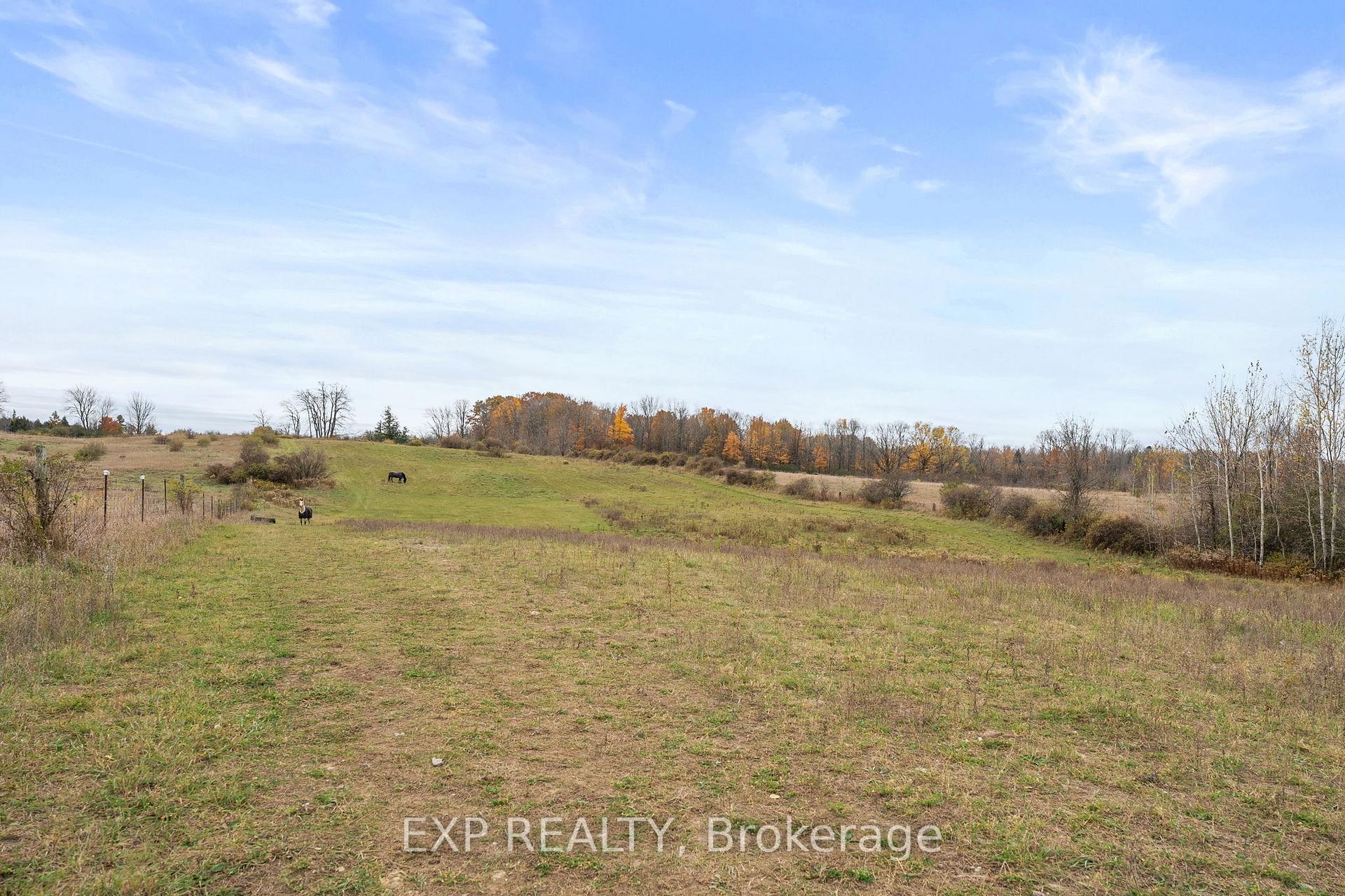 Photo 46 of 1742 Cameron Street W, Brock, Cannington — HOMEH