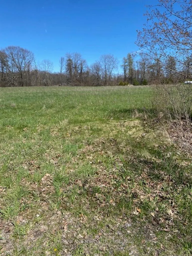 Photo of 15 Youngs Point Road