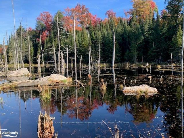 Front of 0 Sugar Bush Road E