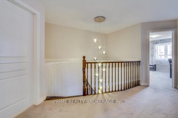 Photo 41 of 31 Halo Street, Hamilton, Eleanor — HOMEH