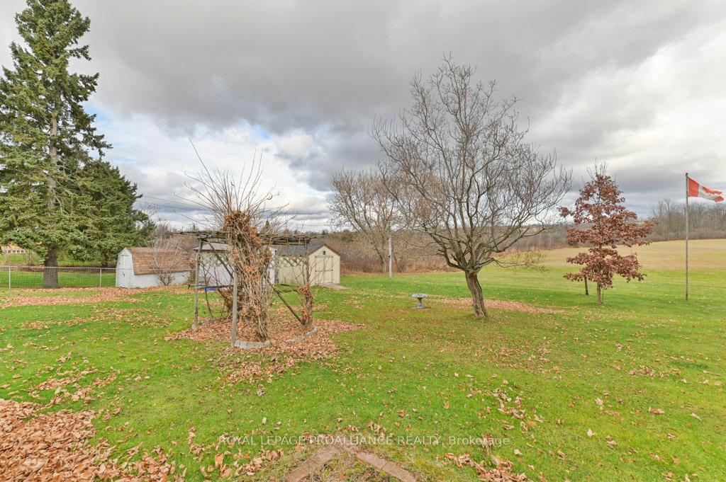 Photo 29 of 259 Henry Street, Stirling-Rawdon, Stirling Ward — HOMEH