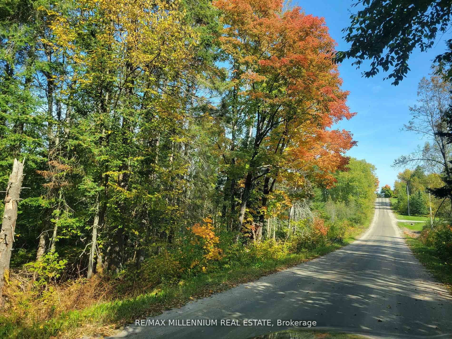 Photo 4 of 237 Victoria Street, Magnetawan — HOMEH