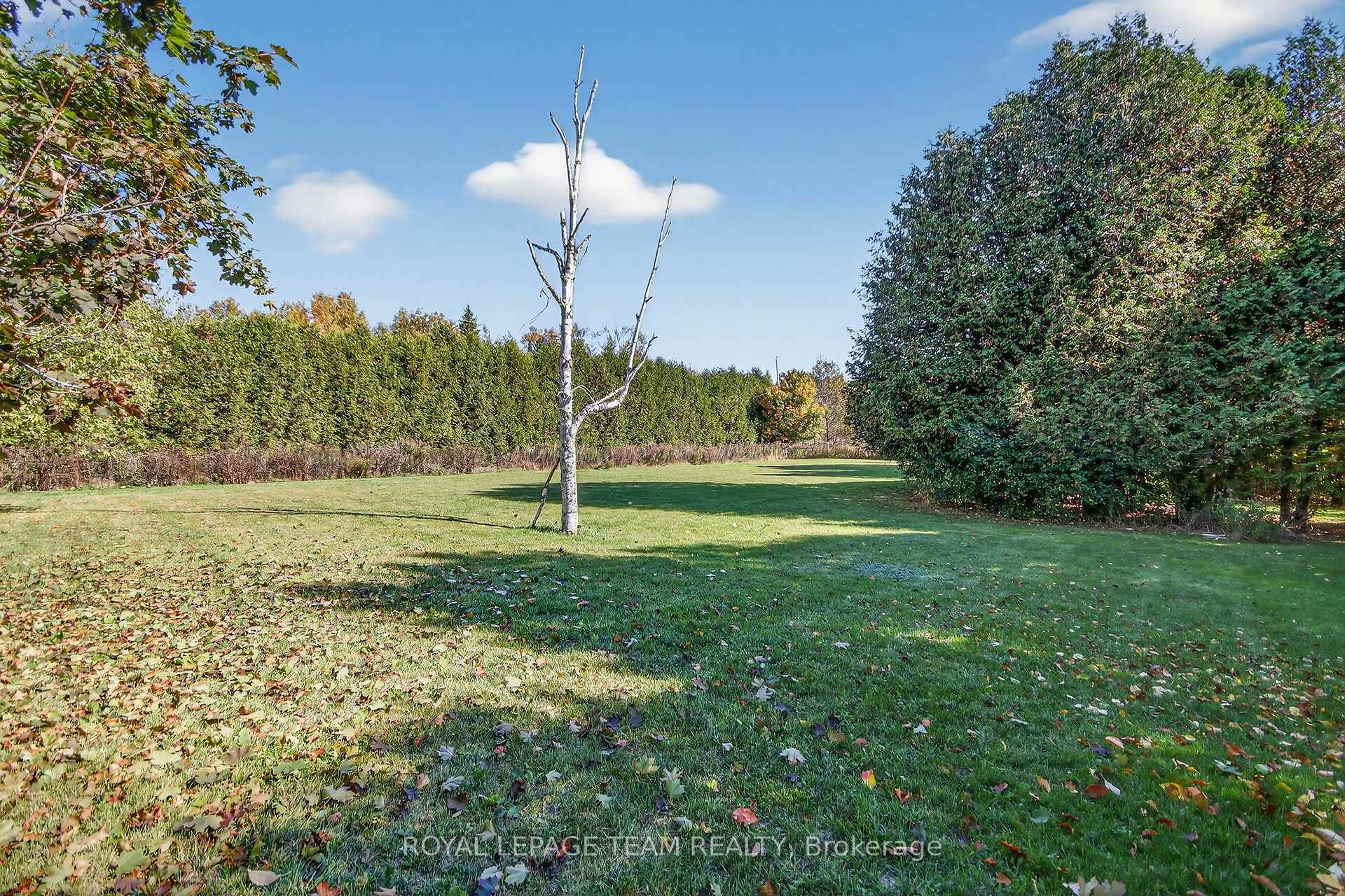 Photo 39 of 101 Falcon Brook Road, Ottawa, Huntley Ward (South West) — HOMEH