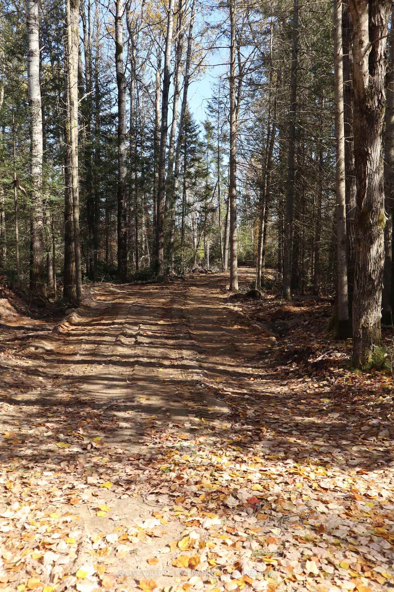 Photo 5 of 153 Joly Strong Road, Joly — HOMEH