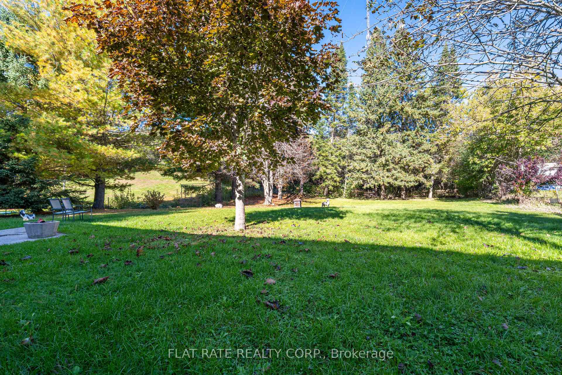 Photo 46 of 322 Plati Avenue, Douro-Dummer — HOMEH