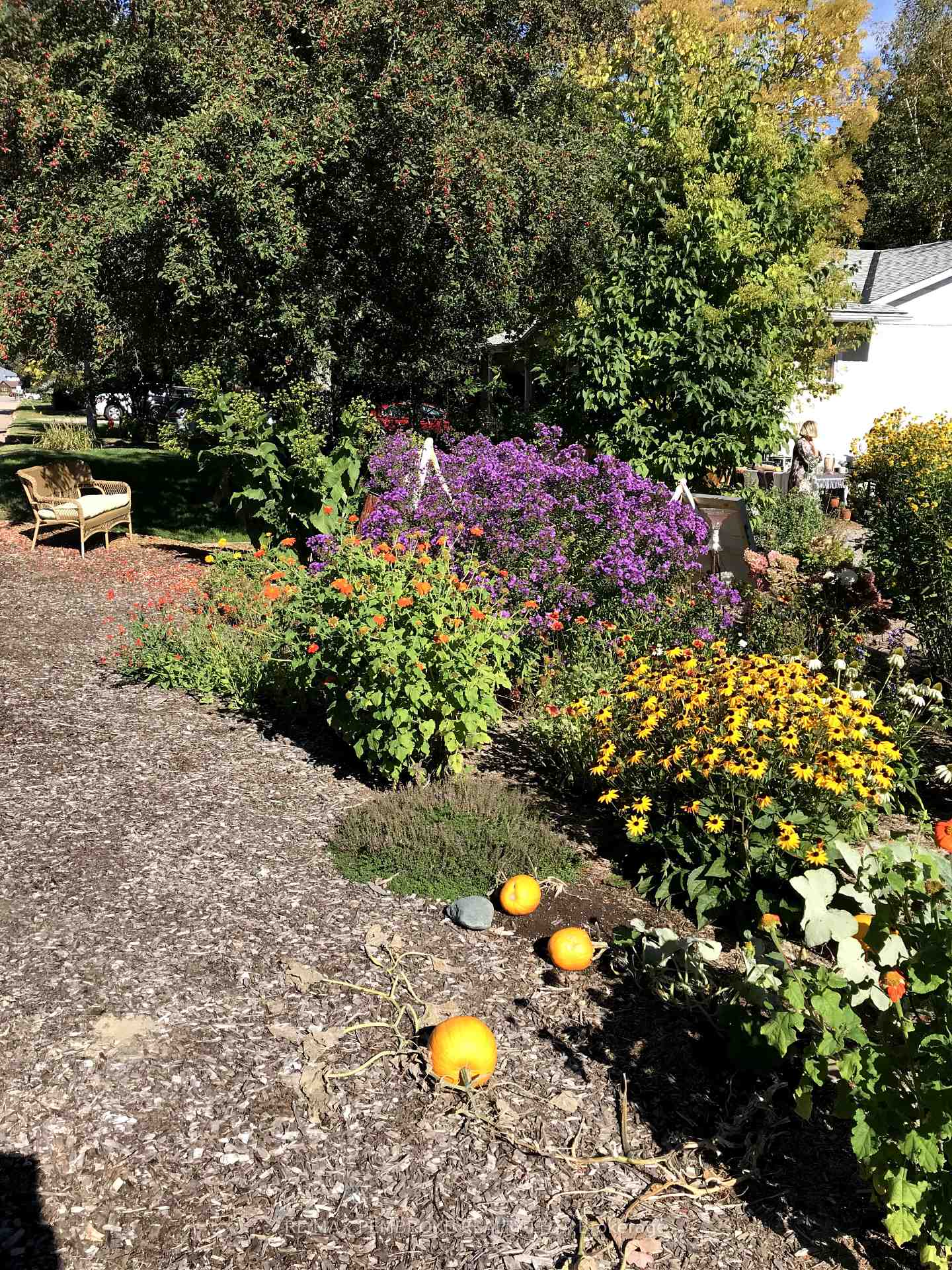 Photo 6 of 239 Thomas Street, Deep River — HOMEH