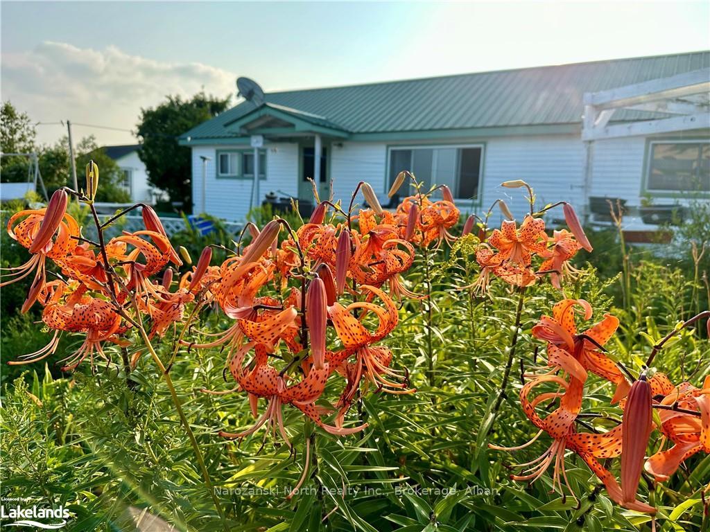 Photo 17 of 7908 Harbour, Killarney — HOMEH