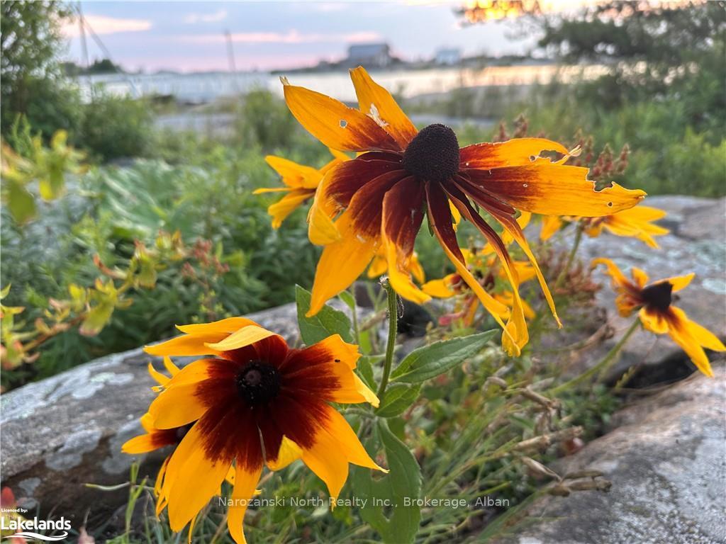 Photo 31 of 7908 Harbour, Killarney — HOMEH