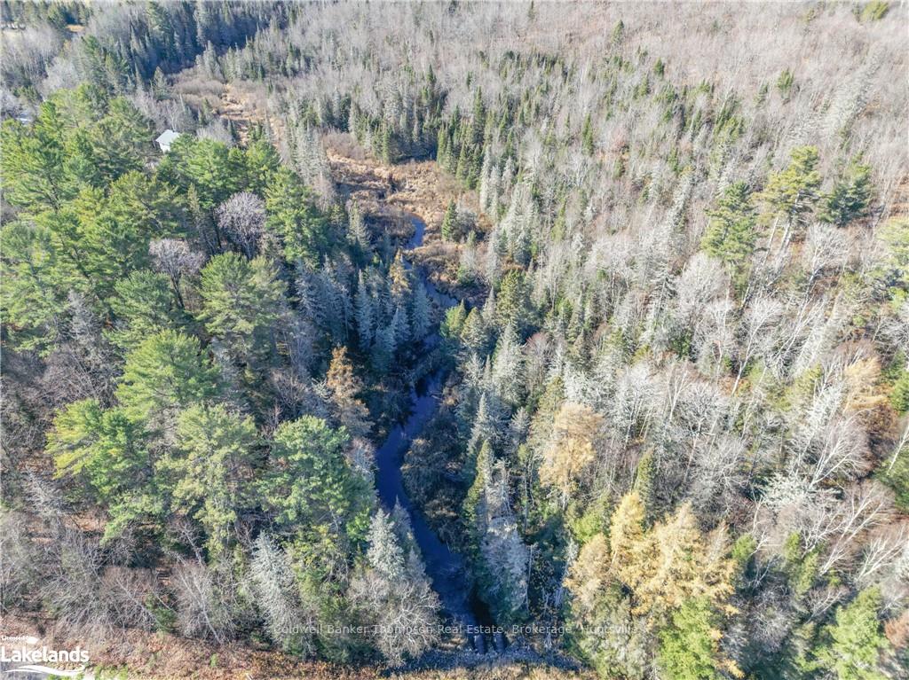 Photo 6 of Miller Rd, Magnetawan — HOMEH