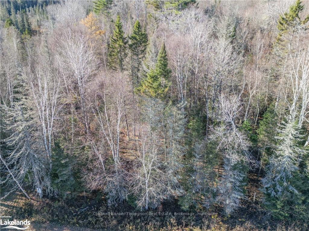 Photo 9 of Miller Rd, Magnetawan — HOMEH