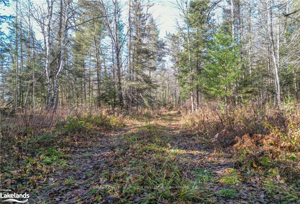 Photo 10 of Miller Rd, Magnetawan — HOMEH