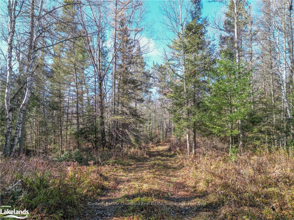 Photo 11 of Miller Rd, Magnetawan — HOMEH