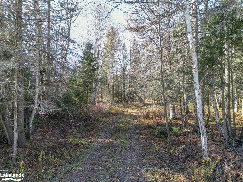 Photo 13 of Miller Rd, Magnetawan — HOMEH