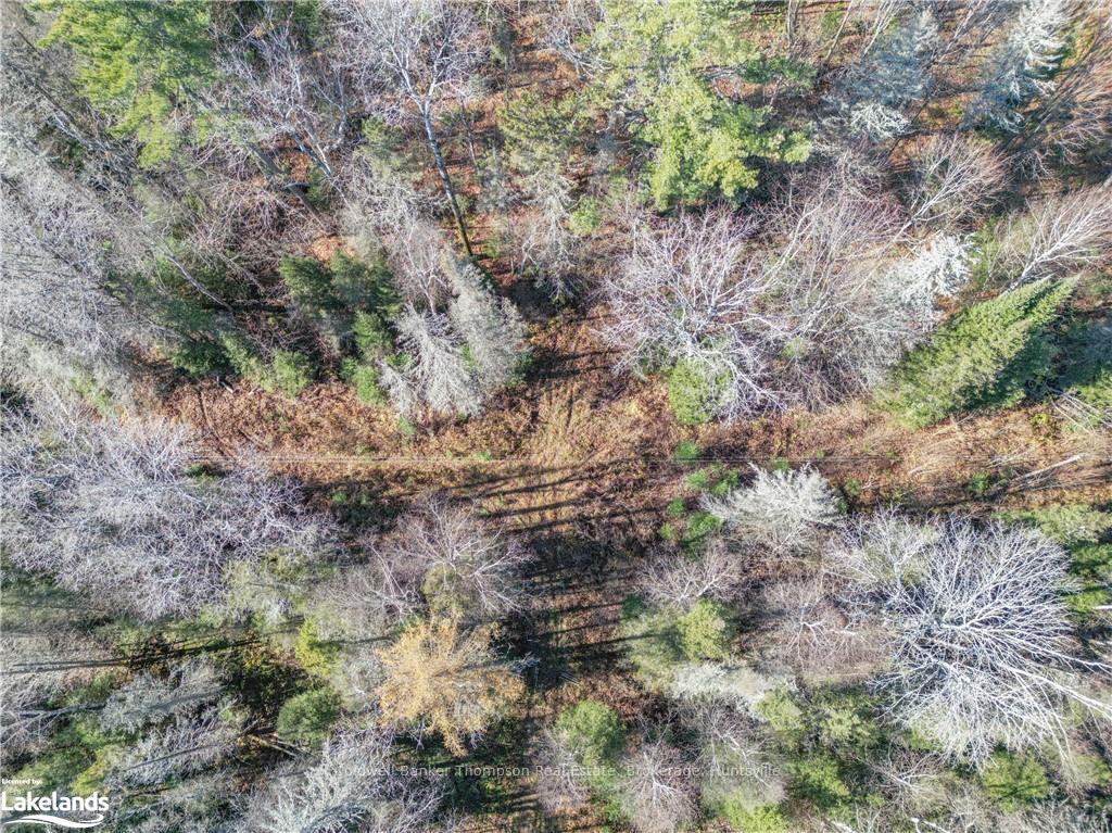 Photo 14 of Miller Rd, Magnetawan — HOMEH